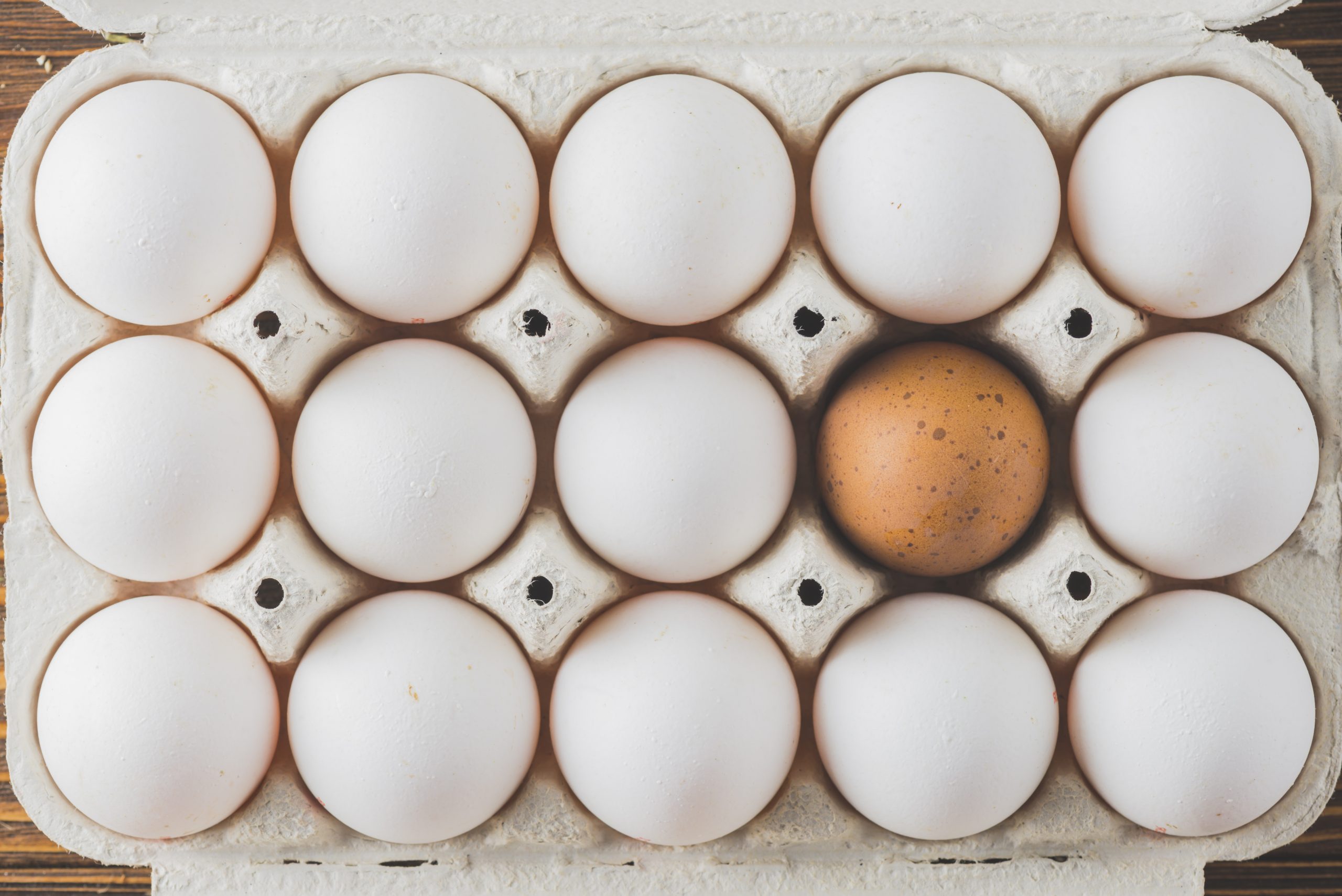 普维动物保健品有限公司, 动物饲料添加剂, 植物提取物, 植物生物素, 精油, PFA, 植物性饲料添加剂, 植物学, 植物性饲料添加剂, 新型促生长剂, 植物素, 替代抗生素促生长剂, 天然产品, 肠道健康, PlusVet Animal Health,