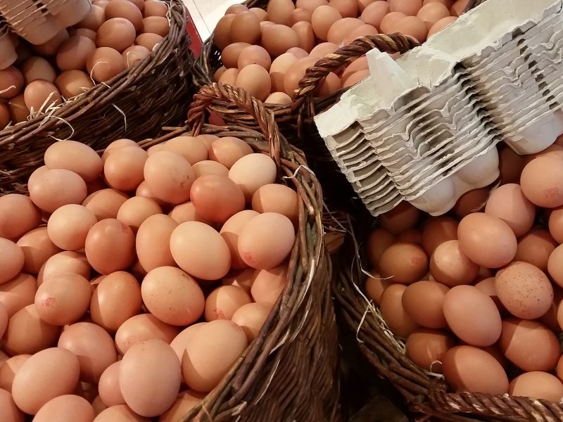 普维动物保健品有限公司, 动物饲料添加剂, 植物提取物, 植物生物素, 精油, PFA, 植物性饲料添加剂, 植物学, 植物性饲料添加剂, 新型促生长剂, 植物素, 替代抗生素促生长剂, 天然产品, 肠道健康, PlusVet Animal Health,