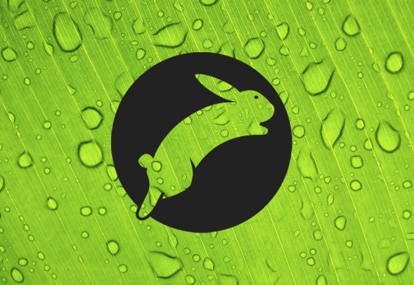 普维动物保健品有限公司, 动物饲料添加剂, 植物提取物, 植物生物素, 精油, PFA, 植物性饲料添加剂, 植物学, 植物性饲料添加剂, 新型促生长剂, 植物素, 替代抗生素促生长剂, 天然产品, 肠道健康, PlusVet Animal Health，抗生素促生长剂，植物提取物替代抗生素，家兔