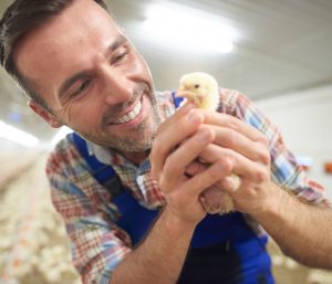 普维动物保健品有限公司, 动物饲料添加剂, 植物提取物, 植物生物素, 精油, PFA, 植物性饲料添加剂, 植物学, 植物性饲料添加剂, 新型促生长剂, 植物素, 替代抗生素促生长剂, 天然产品, 肠道健康, PlusVet Animal Health,