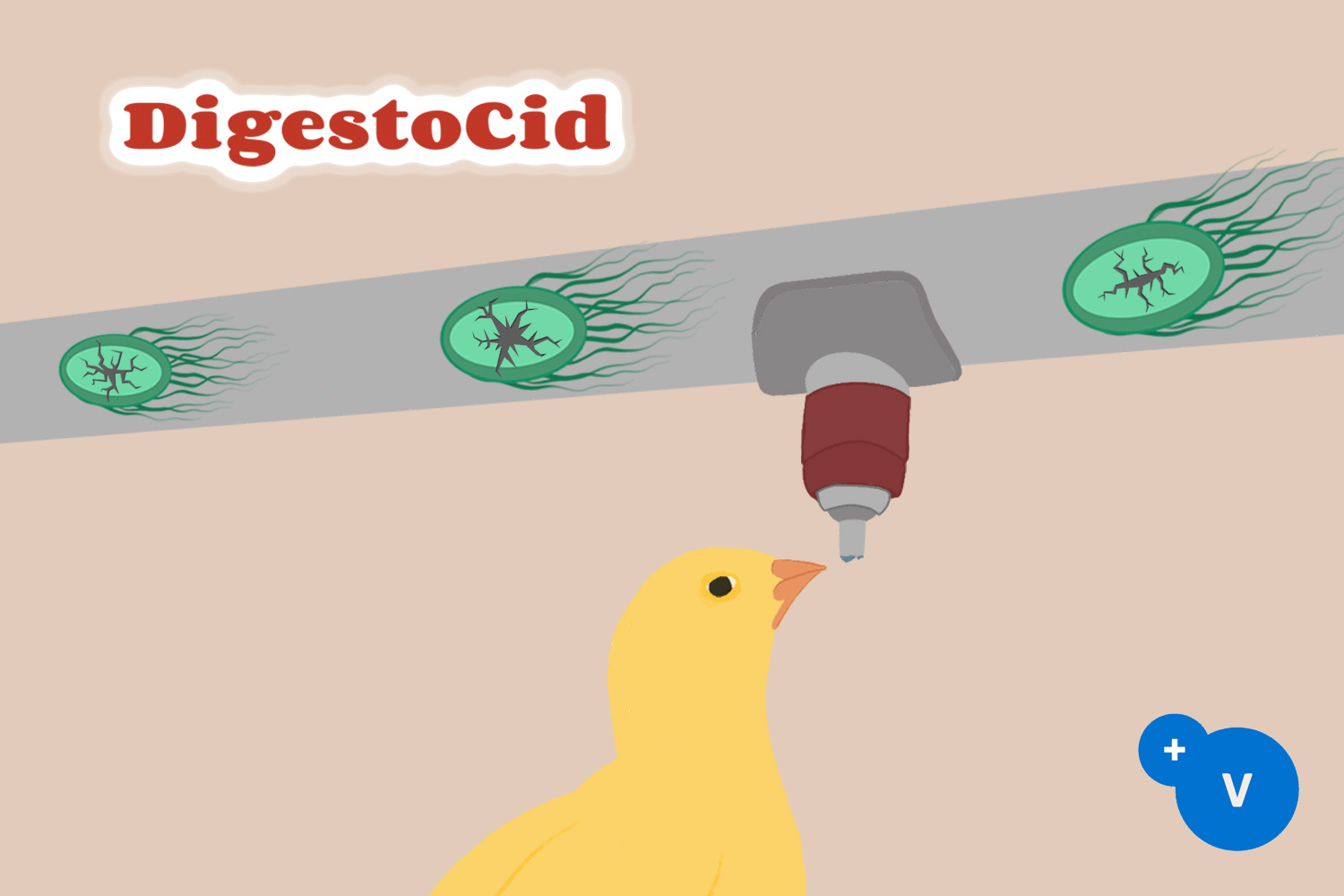 大肠杆菌病, 酸化剂, 饮用水酸化, 水质, pH值, 有机酸, 单酯脂肪酸, 大肠杆菌, 沙门氏菌, 普维动物保健品有限公司, 动物饲料添加剂, 植物提取物, 植物生物素, 精油, PFA, 植物性饲料添加剂, 植物学, 植物性饲料添加剂, 新型促生长剂, 植物素, 替代抗生素促生长剂, 天然产品, 肠道健康, PlusVet Animal Health,