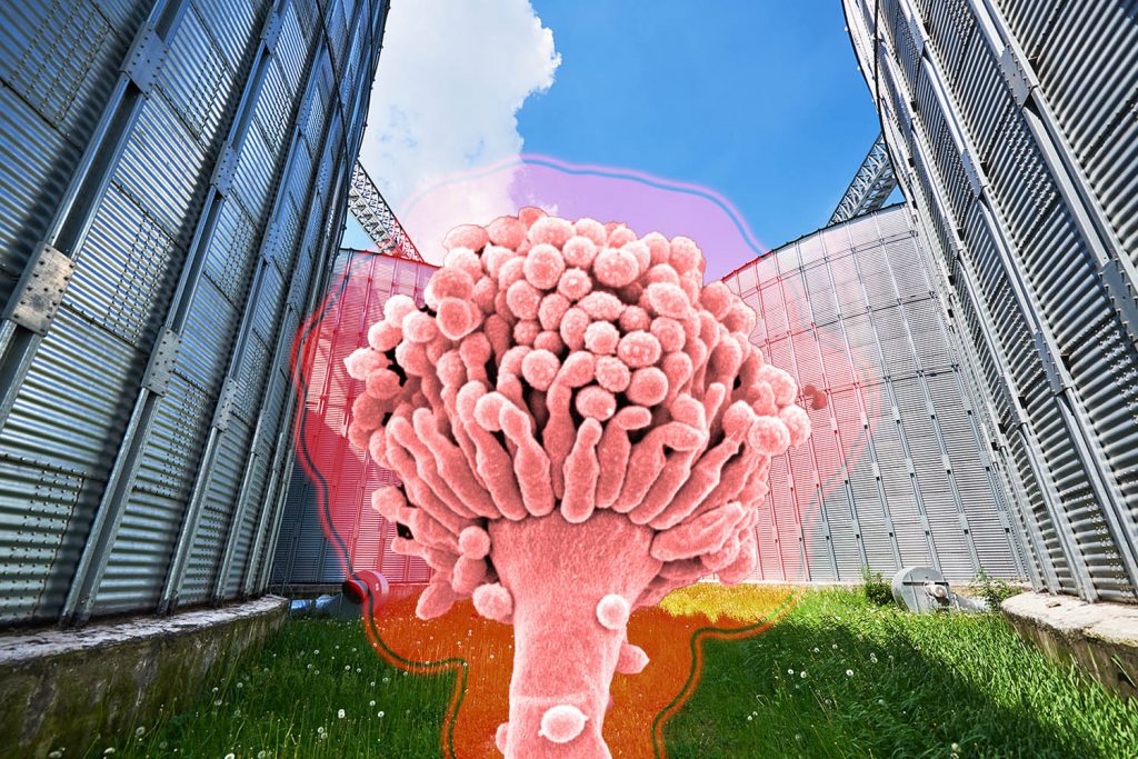 普维动物保健品有限公司, 动物饲料添加剂, 植物提取物, 植物生物素, 精油, PFA, 植物性饲料添加剂, 植物学, 植物性饲料添加剂, 新型促生长剂, 植物素, 替代抗生素促生长剂, 天然产品, 肠道健康, PlusVet Animal Health，养鸡，普维生，普乐壮，饲料添加剂，无抗养殖，植物提取物替代抗生素，黄曲霉菌，霉菌毒素