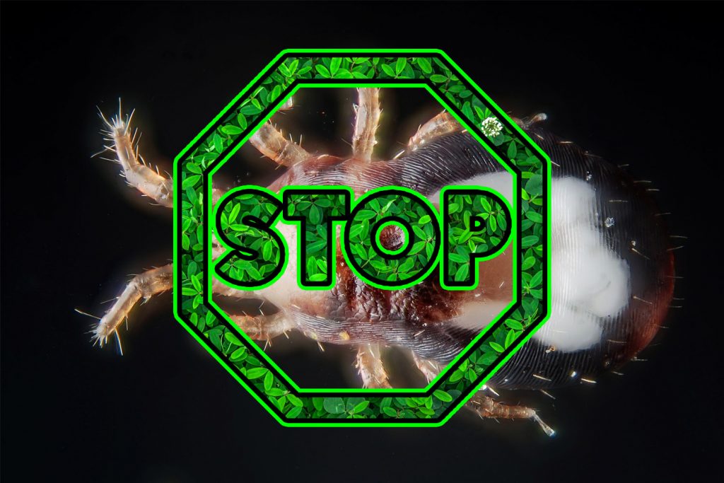 普维动物保健品有限公司, 动物饲料添加剂, 植物提取物, 植物生物素, 精油, PFA, 植物性饲料添加剂, 植物学, 植物性饲料添加剂, 新型促生长剂, 植物素, 替代抗生素促生长剂, 天然产品, 肠道健康, PlusVet Animal Health，养鸡，普维生，普乐壮，饲料添加剂，无抗养殖，植物提取物替代抗生素，芬必除，螨虫