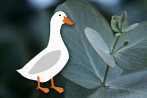 普维动物保健品有限公司, 动物饲料添加剂, 植物提取物, 植物生物素, 精油, PFA, 植物性饲料添加剂, 植物学, 植物性饲料添加剂, 新型促生长剂, 植物素, 替代抗生素促生长剂, 天然产品, 肠道健康, PlusVet Animal Health，养鸡，普维生，普乐壮，饲料添加剂，无抗养殖，植物提取物替代抗生素，普罗宁