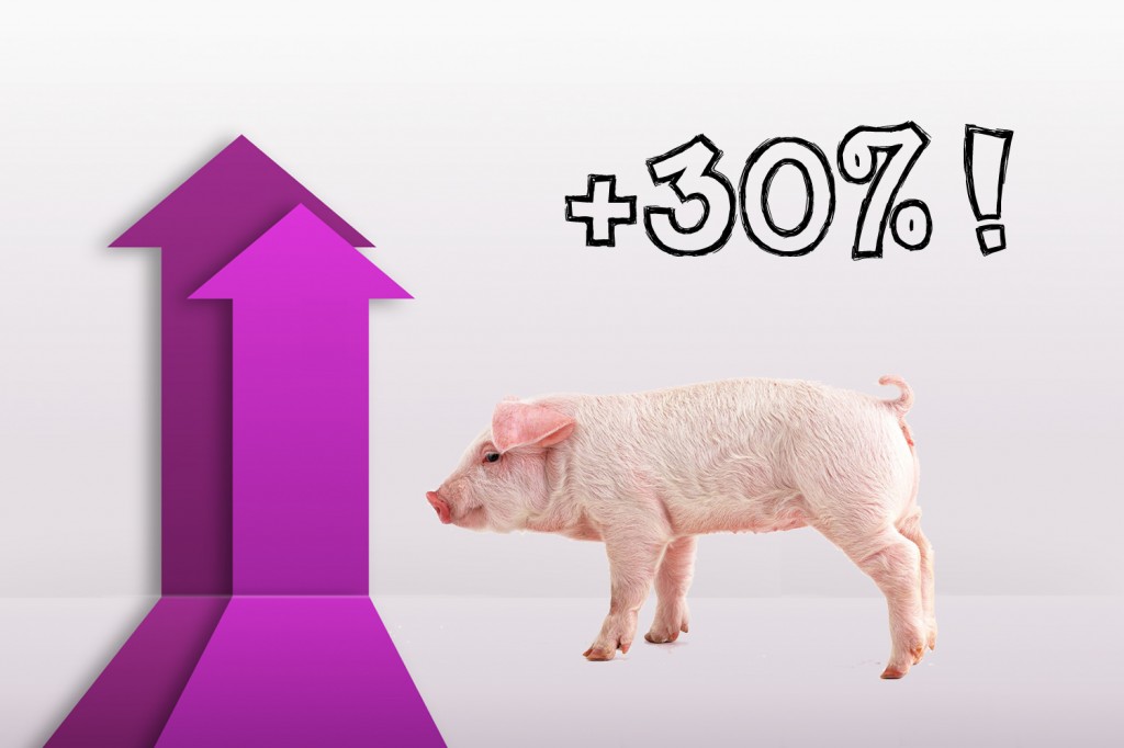 普维动物保健品有限公司, 动物饲料添加剂, 植物提取物, 植物生物素, 精油, PFA, 植物性饲料添加剂, 植物学, 植物性饲料添加剂, 新型促生长剂, 植物素, 替代抗生素促生长剂, 天然产品, 肠道健康, PlusVet Animal Health,普维泰，断奶仔猪腹泻，断奶生长停滞