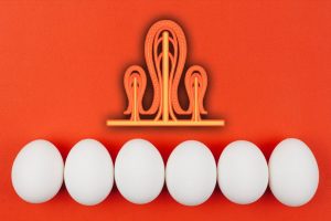 普维动物保健品有限公司, 动物饲料添加剂, 植物提取物, 植物生物素, 精油, PFA, 植物性饲料添加剂, 植物学, 植物性饲料添加剂, 新型促生长剂, 植物素, 替代抗生素促生长剂, 天然产品, 肠道健康, PlusVet Animal Health，养鸡，普维生，普乐壮，饲料添加剂，无抗养殖，植物提取物替代抗生素，芬乐多