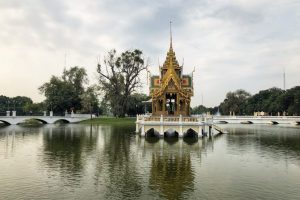 普维动物保健品有限公司, 动物饲料添加剂, 植物提取物, 植物生物素, 精油, PFA, 植物性饲料添加剂, 植物学, 植物性饲料添加剂, 新型促生长剂, 植物素, 替代抗生素促生长剂, 天然产品, 肠道健康, PlusVet Animal Health，养鸡，普维生，普乐壮，饲料添加剂，无抗养殖，植物提取物替代抗生素