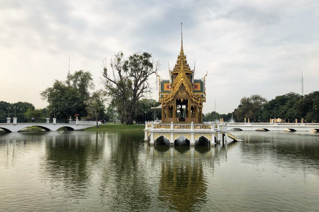 普维动物保健品有限公司, 动物饲料添加剂, 植物提取物, 植物生物素, 精油, PFA, 植物性饲料添加剂, 植物学, 植物性饲料添加剂, 新型促生长剂, 植物素, 替代抗生素促生长剂, 天然产品, 肠道健康, PlusVet Animal Health，养鸡，普维生，普乐壮，饲料添加剂，无抗养殖，植物提取物替代抗生素
