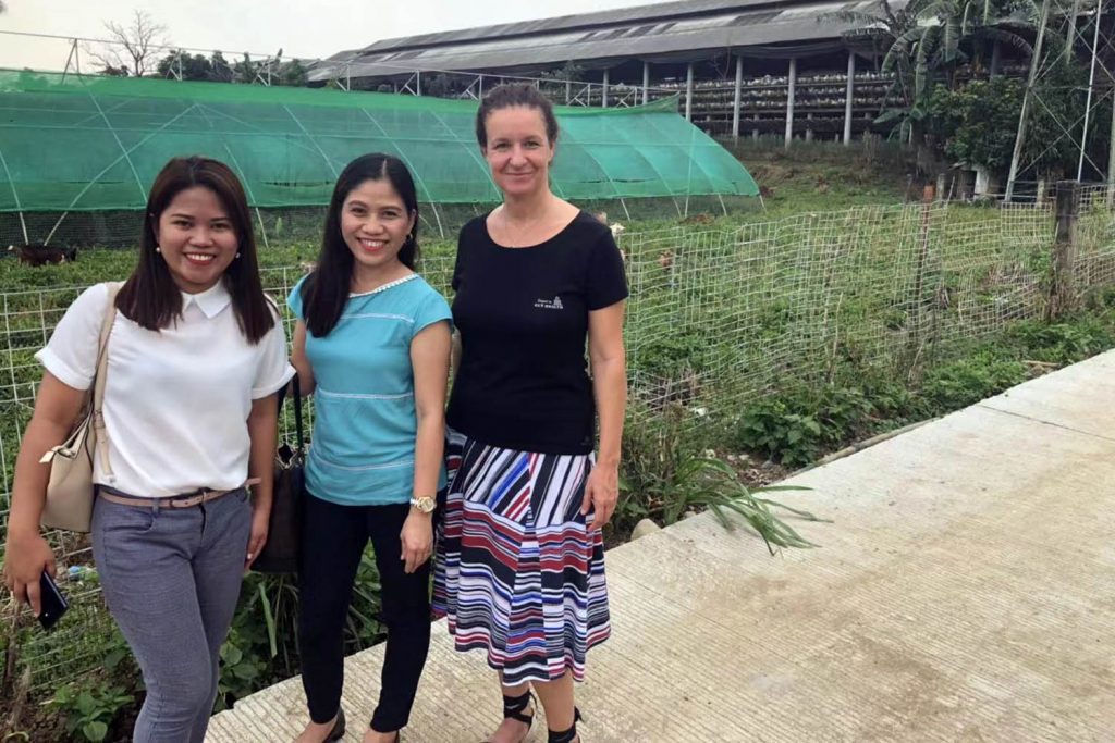 普维动物保健品有限公司, 动物饲料添加剂, 植物提取物, 植物生物素, 精油, PFA, 植物性饲料添加剂, 植物学, 植物性饲料添加剂, 新型促生长剂, 植物素, 替代抗生素促生长剂, 天然产品, 肠道健康, PlusVet Animal Health，养鸡，普维生，普乐壮，饲料添加剂，无抗养殖，植物提取物替代抗生素，