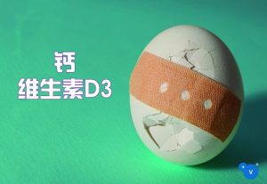 普维动物保健品有限公司, 动物饲料添加剂, 植物提取物, 植物生物素, 精油, PFA, 植物性饲料添加剂, 植物学, 植物性饲料添加剂, 新型促生长剂, 植物素, 替代抗生素促生长剂, 天然产品, 肠道健康, PlusVet Animal Health，养鸡，普维生，普乐壮，饲料添加剂，无抗养殖，植物提取物替代抗生素，芬乐多