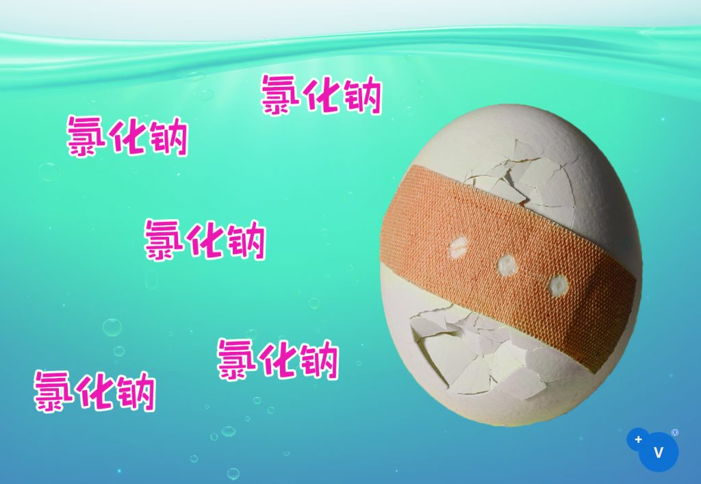 普维动物保健品有限公司, 动物饲料添加剂, 植物提取物, 植物生物素, 精油, PFA, 植物性饲料添加剂, 植物学, 植物性饲料添加剂, 新型促生长剂, 植物素, 替代抗生素促生长剂, 天然产品, 肠道健康, PlusVet Animal Health，养鸡，普维生，普乐壮，饲料添加剂，无抗养殖，植物提取物替代抗生素，芬乐多