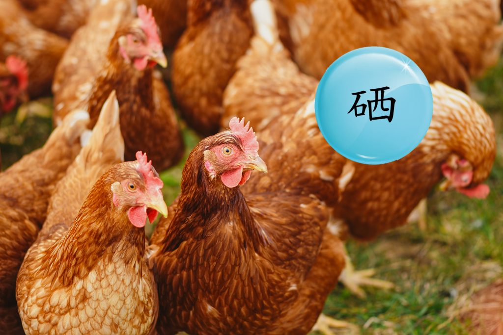 普维动物保健品有限公司, 动物饲料添加剂, 植物提取物, 植物生物素, 精油, PFA, 植物性饲料添加剂, 植物学, 植物性饲料添加剂, 新型促生长剂, 植物素, 替代抗生素促生长剂, 天然产品, 肠道健康, PlusVet Animal Health，养鸡，普维生，普乐壮，饲料添加剂，无抗养殖，植物提取物替代抗生素，芬乐多