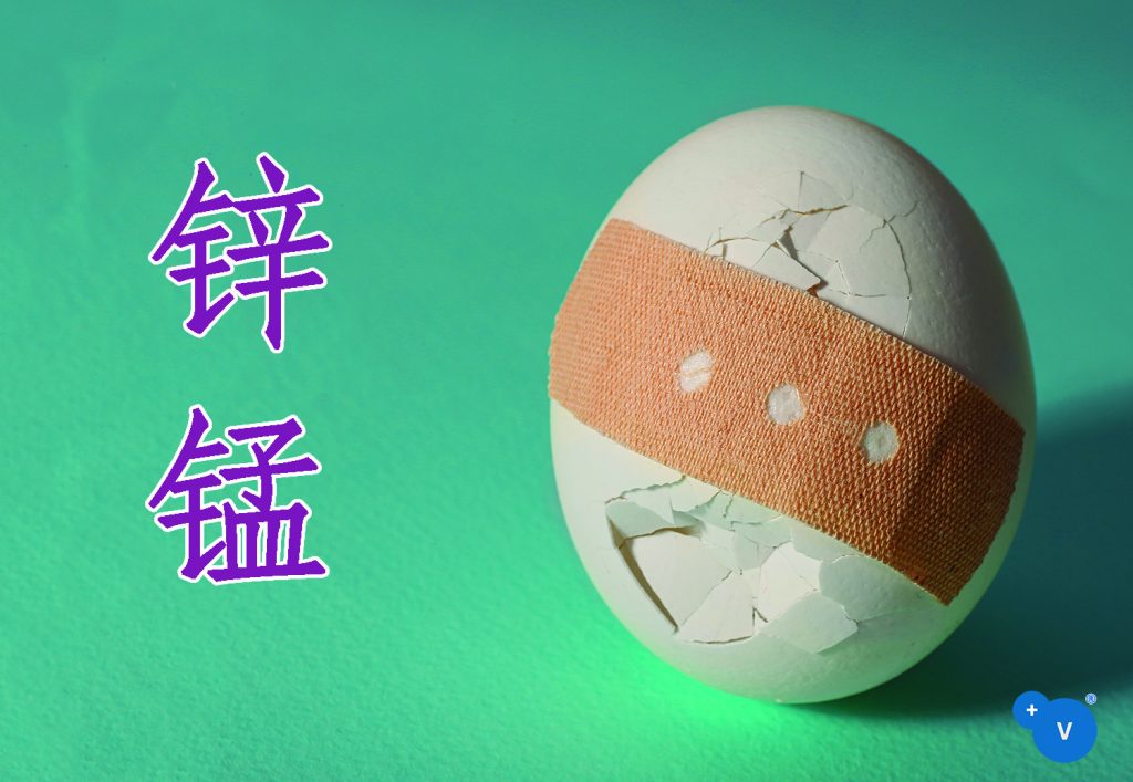 普维动物保健品有限公司, 动物饲料添加剂, 植物提取物, 植物生物素, 精油, PFA, 植物性饲料添加剂, 植物学, 植物性饲料添加剂, 新型促生长剂, 植物素, 替代抗生素促生长剂, 天然产品, 肠道健康, PlusVet Animal Health，养鸡，普维生，普乐壮，饲料添加剂，无抗养殖，植物提取物替代抗生素，芬乐多