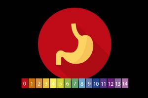 普维动物保健品有限公司, 动物饲料添加剂, 植物提取物, 植物生物素, 精油, PFA, 植物性饲料添加剂, 植物学, 植物性饲料添加剂, 新型促生长剂, 植物素, 替代抗生素促生长剂, 天然产品, 肠道健康, PlusVet Animal Health，养鸡，普维生，普乐壮，饲料添加剂，无抗养殖，植物提取物替代抗生素，普仔壮