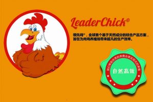 普维动物保健品有限公司, 动物饲料添加剂, 植物提取物, 植物生物素, 精油, PFA, 植物性饲料添加剂, 植物学, 植物性饲料添加剂, 新型促生长剂, 植物素, 替代抗生素促生长剂, 天然产品, 肠道健康, PlusVet Animal Health，养鸡，普维生，普乐壮，饲料添加剂，无抗养殖，植物提取物替代抗生素，