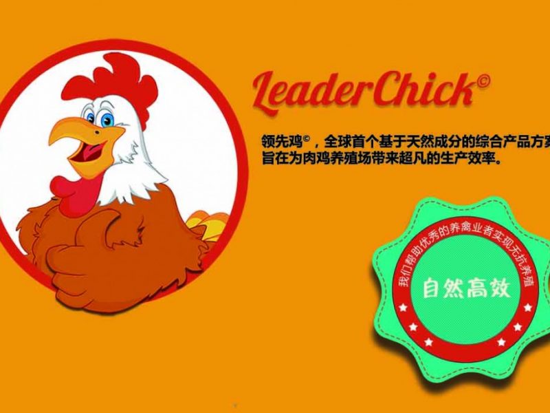 普维动物保健品有限公司, 动物饲料添加剂, 植物提取物, 植物生物素, 精油, PFA, 植物性饲料添加剂, 植物学, 植物性饲料添加剂, 新型促生长剂, 植物素, 替代抗生素促生长剂, 天然产品, 肠道健康, PlusVet Animal Health，养鸡，普维生，普乐壮，饲料添加剂，无抗养殖，植物提取物替代抗生素，