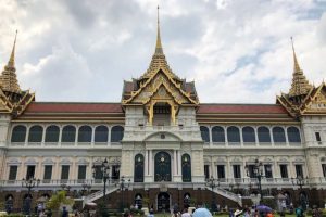 普维动物保健品有限公司, 动物饲料添加剂, 植物提取物, 植物生物素, 精油, PFA, 植物性饲料添加剂, 植物学, 植物性饲料添加剂, 新型促生长剂, 植物素, 替代抗生素促生长剂, 天然产品, 肠道健康, PlusVet Animal Health，养鸡，普维生，普乐壮，饲料添加剂，无抗养殖，植物提取物替代抗生素，