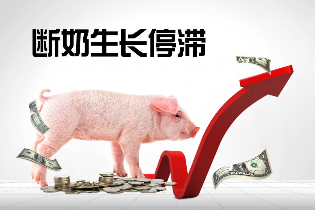 普维动物保健品有限公司, 动物饲料添加剂, 植物提取物, 植物生物素, 精油, PFA, 植物性饲料添加剂, 植物学, 植物性饲料添加剂, 新型促生长剂, 植物素, 替代抗生素促生长剂, 天然产品, 肠道健康, PlusVet Animal Health，养鸡，普维生，普乐壮，饲料添加剂，无抗养殖，植物提取物替代抗生素，