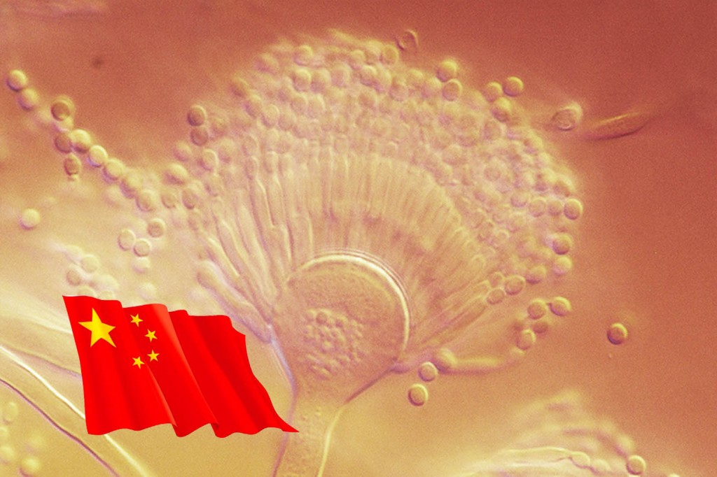 普维动物保健品有限公司, 动物饲料添加剂, 植物提取物, 植物生物素, 精油, PFA, 植物性饲料添加剂, 植物学, 植物性饲料添加剂, 新型促生长剂, 植物素, 替代抗生素促生长剂, 天然产品, 肠道健康, PlusVet Animal Health，养鸡，普维生，普乐壮，饲料添加剂，无抗养殖，植物提取物替代抗生素，