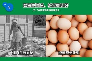 普维动物保健品有限公司, 动物饲料添加剂, 植物提取物, 植物生物素, 精油, PFA, 植物性饲料添加剂, 植物学, 植物性饲料添加剂, 新型促生长剂, 植物素, 替代抗生素促生长剂, 天然产品, 肠道健康, PlusVet Animal Health，养鸡，普维生，普乐壮，饲料添加剂，无抗养殖，植物提取物替代抗生素，