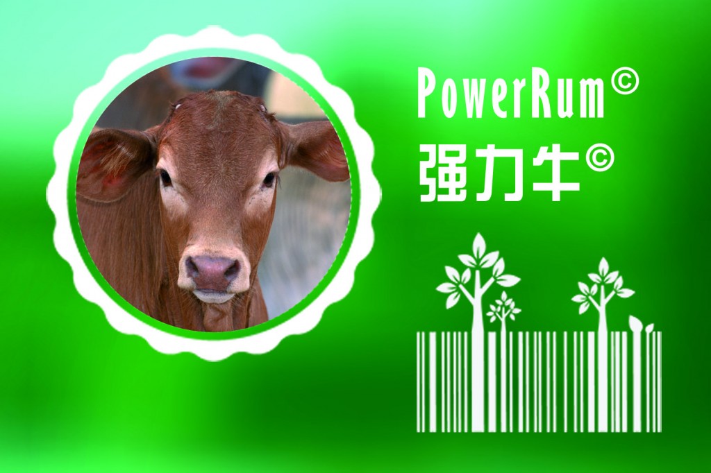 普维动物保健品有限公司, 动物饲料添加剂, 植物提取物, 植物生物素, 精油, PFA, 植物性饲料添加剂, 植物学, 植物性饲料添加剂, 新型促生长剂, 植物素, 替代抗生素促生长剂, 天然产品, 肠道健康, PlusVet Animal Health，养鸡，普维生，普乐壮，饲料添加剂，无抗养殖，植物提取物替代抗生素，