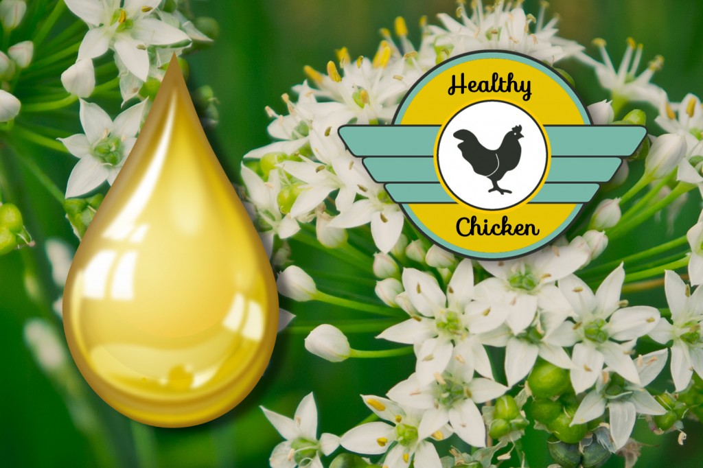 普维动物保健品有限公司, 动物饲料添加剂, 植物提取物, 植物生物素, 精油, PFA, 植物性饲料添加剂, 植物学, 植物性饲料添加剂, 新型促生长剂, 植物素, 替代抗生素促生长剂, 天然产品, 肠道健康, PlusVet Animal Health，养鸡，普维生，普乐壮，饲料添加剂，无抗养殖，植物提取物替代抗生素，