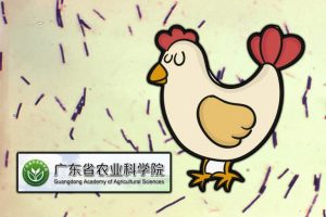 普维动物保健品有限公司, 动物饲料添加剂, 植物提取物, 植物生物素, 精油, PFA, 植物性饲料添加剂, 植物学, 植物性饲料添加剂, 新型促生长剂, 植物素, 替代抗生素促生长剂, 天然产品, 肠道健康, PlusVet Animal Health，养鸡，普维生，普乐壮，饲料添加剂，无抗养殖，植物提取物替代抗生素，