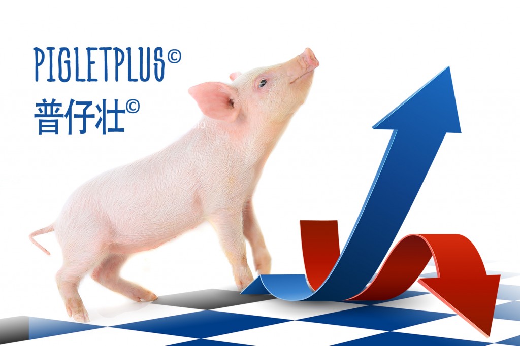 普维动物保健品有限公司, 动物饲料添加剂, 植物提取物, 植物生物素, 精油, PFA, 植物性饲料添加剂, 植物学, 植物性饲料添加剂, 新型促生长剂, 植物素, 替代抗生素促生长剂, 天然产品, 肠道健康, PlusVet Animal Health，养鸡，普维生，普乐壮，饲料添加剂，无抗养殖，植物提取物替代抗生素，