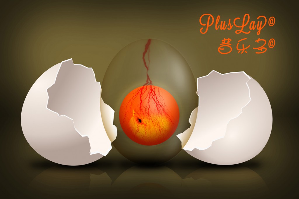 普维动物保健品有限公司, 动物饲料添加剂, 植物提取物, 植物生物素, 精油, PFA, 植物性饲料添加剂, 植物学, 植物性饲料添加剂, 新型促生长剂, 植物素, 替代抗生素促生长剂, 天然产品, 肠道健康, PlusVet Animal Health，养鸡，普维生，普乐壮，饲料添加剂，无抗养殖，植物提取物替代抗生素，