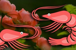 普维动物保健品有限公司, 动物饲料添加剂, 植物提取物, 植物生物素, 精油, PFA, 植物性饲料添加剂, 植物学, 植物性饲料添加剂, 新型促生长剂, 植物素, 替代抗生素促生长剂, 天然产品, 肠道健康, PlusVet Animal Health，养鸡，普维生，普乐壮，饲料添加剂，无抗养殖，植物提取物替代抗生素，