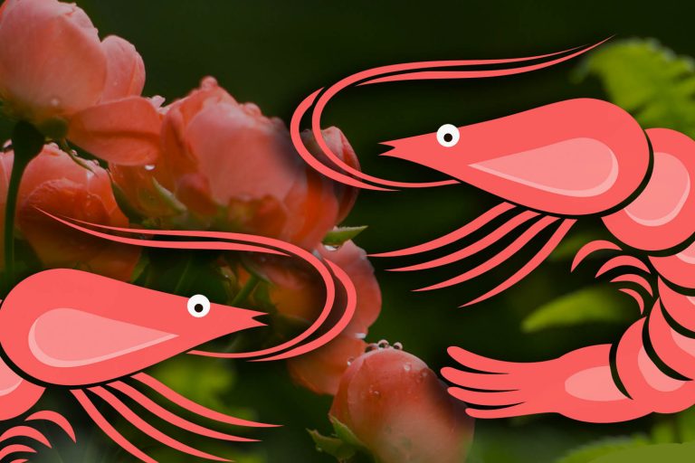 普维动物保健品有限公司, 动物饲料添加剂, 植物提取物, 植物生物素, 精油, PFA, 植物性饲料添加剂, 植物学, 植物性饲料添加剂, 新型促生长剂, 植物素, 替代抗生素促生长剂, 天然产品, 肠道健康, PlusVet Animal Health，养鸡，普维生，普乐壮，饲料添加剂，无抗养殖，植物提取物替代抗生素，