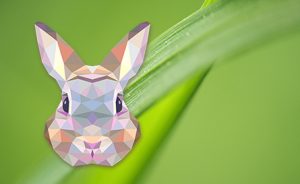 普维动物保健品有限公司, 动物饲料添加剂, 植物提取物, 植物生物素, 精油, PFA, 植物性饲料添加剂, 植物学, 植物性饲料添加剂, 新型促生长剂, 植物素, 替代抗生素促生长剂, 天然产品, 肠道健康, PlusVet Animal Health，养鸡，普维生，普乐壮，饲料添加剂，无抗养殖，植物提取物替代抗生素，