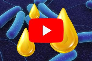 PlusVet Animal Health, 青岛普维动物保健品有限公司, 普维动物, 动物饲料添加剂，真菌毒素粘合剂，真菌毒素，植物提取物，植物生物学，植物药，植物生长饲料添加剂，新生长促进剂，植物化学物质，生长促进抗生素替代品，天然产物