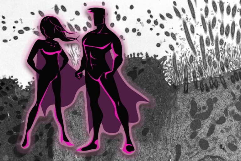 普维动物保健品有限公司, 动物饲料添加剂, 植物提取物, 植物生物素, 精油, PFA, 植物性饲料添加剂, 植物学, 植物性饲料添加剂, 新型促生长剂, 植物素, 替代抗生素促生长剂, 天然产品, 肠道健康, PlusVet Animal Health，养鸡，普维生，普乐壮，饲料添加剂，无抗养殖，植物提取物替代抗生素，