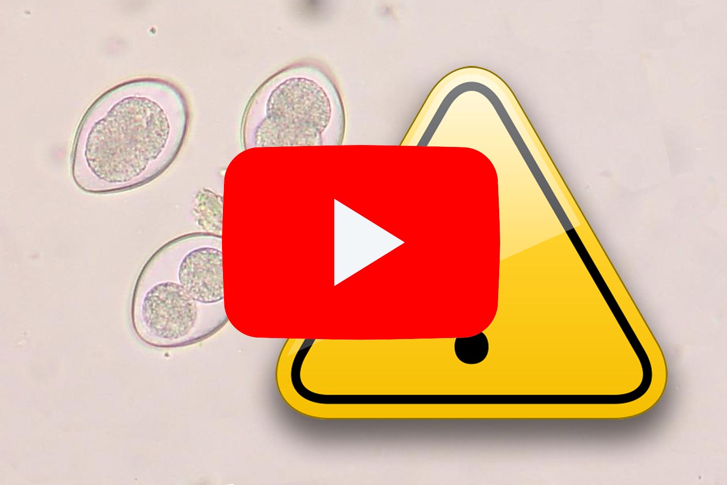 PlusVet Animal Health, 青岛普维动物保健品有限公司, 普维动物, 动物饲料添加剂，真菌毒素粘合剂，真菌毒素，植物提取物，植物生物学，植物药，植物生长饲料添加剂，新生长促进剂，植物化学物质，生长促进抗生素替代品，天然产物