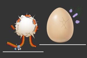 普维动物保健品有限公司, 动物饲料添加剂, 植物提取物, 植物生物素, 精油, PFA, 植物性饲料添加剂, 植物学, 植物性饲料添加剂, 新型促生长剂, 植物素, 替代抗生素促生长剂, 天然产品, 肠道健康, PlusVet Animal Health，养鸡，普维生，普乐壮，饲料添加剂，无抗养殖，植物提取物替代抗生素，