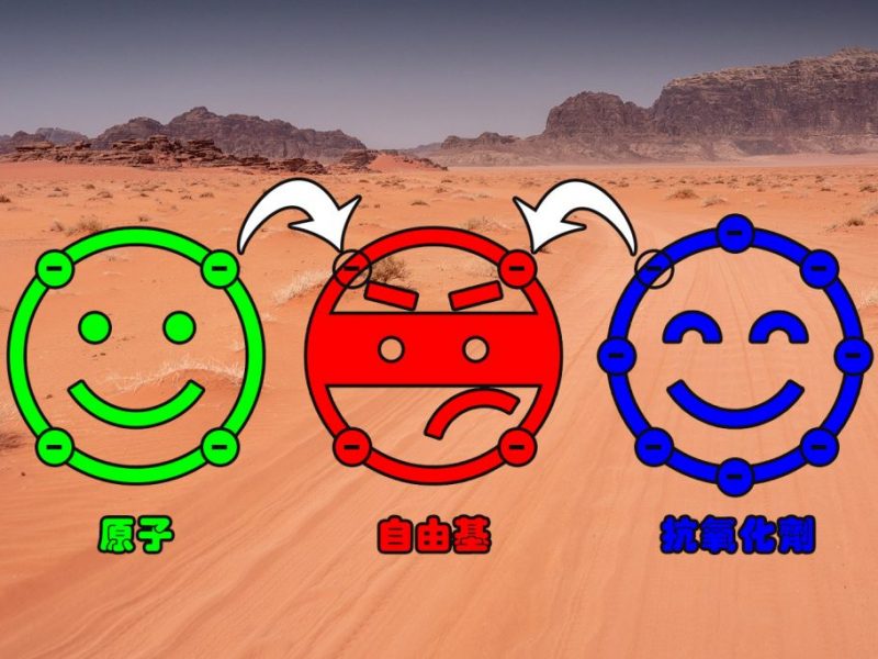 普维动物保健品有限公司, 动物饲料添加剂, 植物提取物, 植物生物素, 精油, PFA, 植物性饲料添加剂, 植物学, 植物性饲料添加剂, 新型促生长剂, 植物素, 替代抗生素促生长剂, 天然产品, 肠道健康, PlusVet Animal Health，养鸡，普维生，普乐壮，饲料添加剂，无抗养殖，植物提取物替代抗生素，