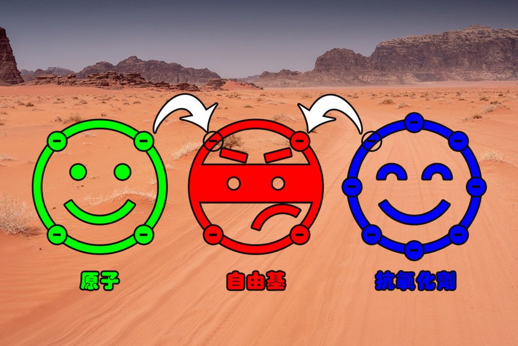 普维动物保健品有限公司, 动物饲料添加剂, 植物提取物, 植物生物素, 精油, PFA, 植物性饲料添加剂, 植物学, 植物性饲料添加剂, 新型促生长剂, 植物素, 替代抗生素促生长剂, 天然产品, 肠道健康, PlusVet Animal Health，养鸡，普维生，普乐壮，饲料添加剂，无抗养殖，植物提取物替代抗生素，