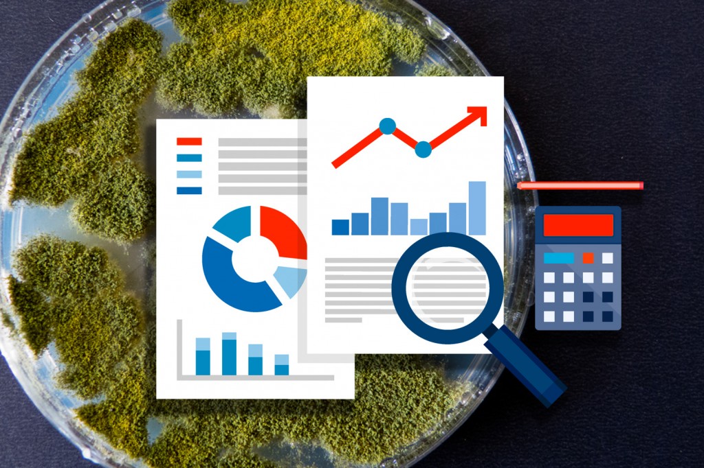 普维动物保健品有限公司, 动物饲料添加剂, 植物提取物, 植物生物素, 精油, PFA, 植物性饲料添加剂, 植物学, 植物性饲料添加剂, 新型促生长剂, 植物素, 替代抗生素促生长剂, 天然产品, 肠道健康, PlusVet Animal Health，养鸡，普维生，普乐壮，饲料添加剂，无抗养殖，植物提取物替代抗生素，