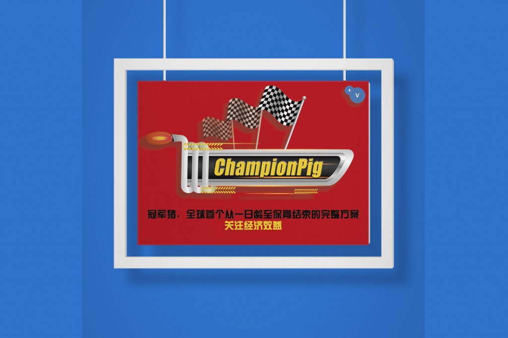 普维动物保健品有限公司, 动物饲料添加剂, 植物提取物, 植物生物素, 精油, PFA, 植物性饲料添加剂, 植物学, 植物性饲料添加剂, 新型促生长剂, 植物素, 替代抗生素促生长剂, 天然产品, 肠道健康, PlusVet Animal Health，养鸡，普维生，普乐壮，饲料添加剂，无抗养殖，植物提取物替代抗生素，