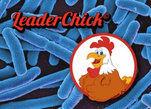 普维动物保健品有限公司, 动物饲料添加剂, 植物提取物, 植物生物素, 精油, PFA, 植物性饲料添加剂, 植物学, 植物性饲料添加剂, 新型促生长剂, 植物素, 替代抗生素促生长剂, 天然产品, 肠道健康, PlusVet Animal Health，养鸡，普维生，普乐壮，饲料添加剂，无抗养殖，植物提取物替代抗生素，