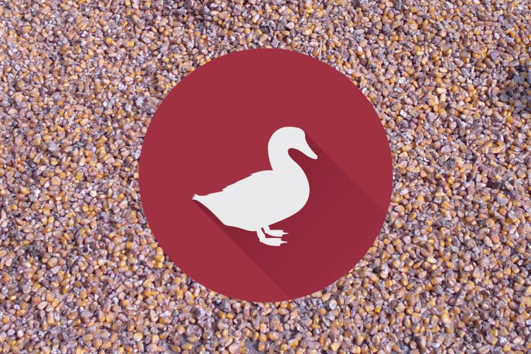 普维动物保健品有限公司, 动物饲料添加剂, 植物提取物, 植物生物素, 精油, PFA, 植物性饲料添加剂, 植物学, 植物性饲料添加剂, 新型促生长剂, 植物素, 替代抗生素促生长剂, 天然产品, 肠道健康, PlusVet Animal Health，养鸡，普维生，普乐壮，饲料添加剂，无抗养殖，植物提取物替代抗生素，