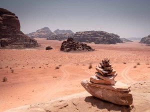 普维动物保健品有限公司, 动物饲料添加剂, 植物提取物, 植物生物素, 精油, PFA, 植物性饲料添加剂, 植物学, 植物性饲料添加剂, 新型促生长剂, 植物素, 替代抗生素促生长剂, 天然产品, 肠道健康, PlusVet Animal Health，养鸡，普维生，普乐壮，饲料添加剂，无抗养殖，植物提取物替代抗生素，