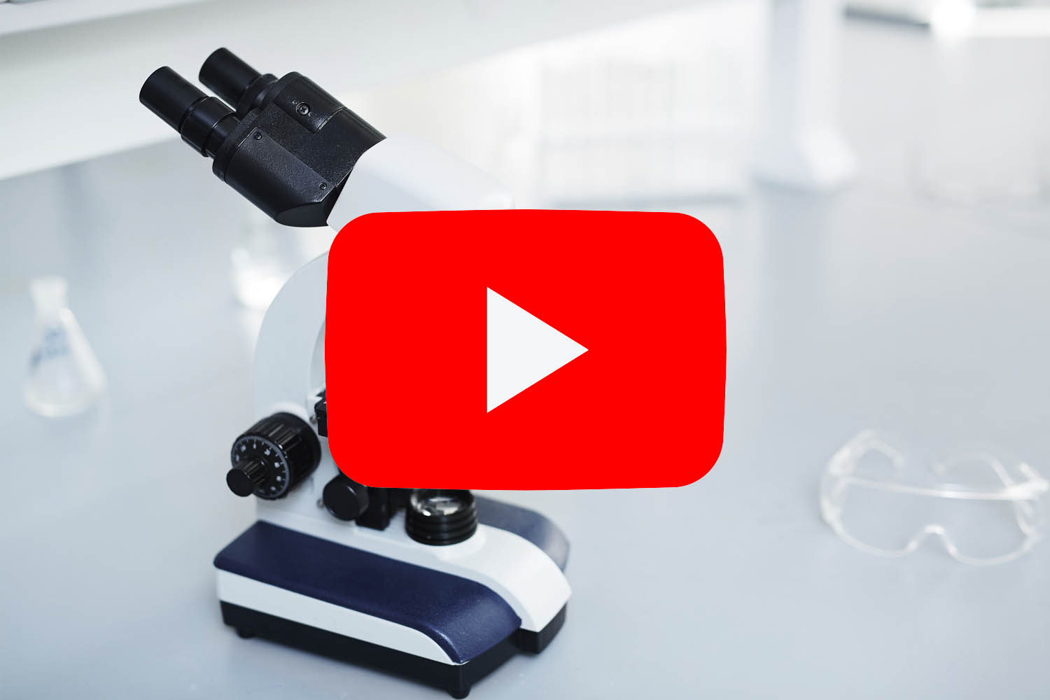 PlusVet Animal Health, 青岛普维动物保健品有限公司, 普维动物, 动物饲料添加剂，真菌毒素粘合剂，真菌毒素，植物提取物，植物生物学，植物药，植物生长饲料添加剂，新生长促进剂，植物化学物质，生长促进抗生素替代品，天然产物