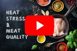 普维动物保健品有限公司, 动物饲料添加剂, 植物提取物, 植物生物素, 精油, PFA, 植物性饲料添加剂, 植物学, 植物性饲料添加剂, 新型促生长剂, 植物素, 替代抗生素促生长剂, 天然产品, 肠道健康, PlusVet Animal Health,