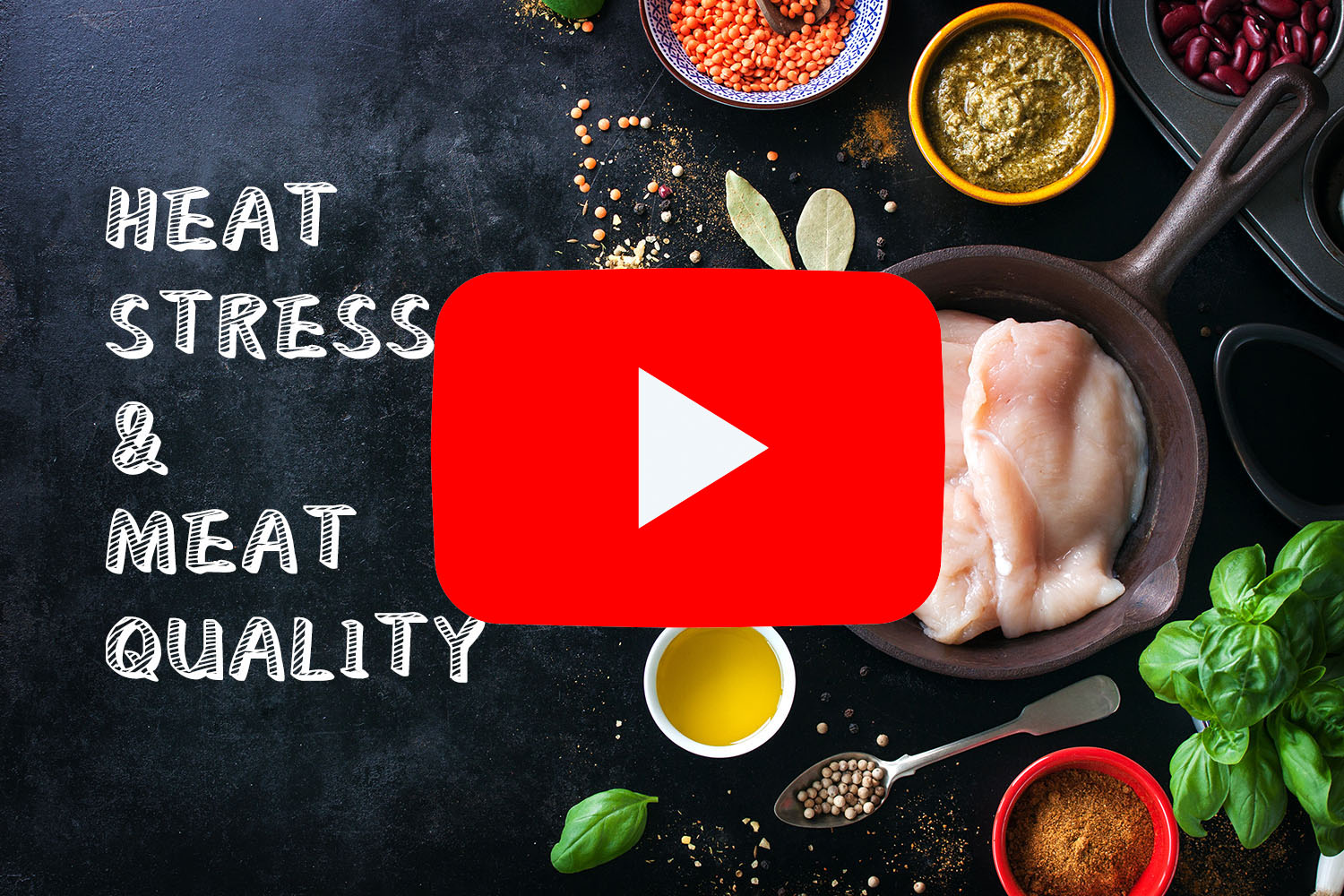 普维动物保健品有限公司, 动物饲料添加剂, 植物提取物, 植物生物素, 精油, PFA, 植物性饲料添加剂, 植物学, 植物性饲料添加剂, 新型促生长剂, 植物素, 替代抗生素促生长剂, 天然产品, 肠道健康, PlusVet Animal Health,