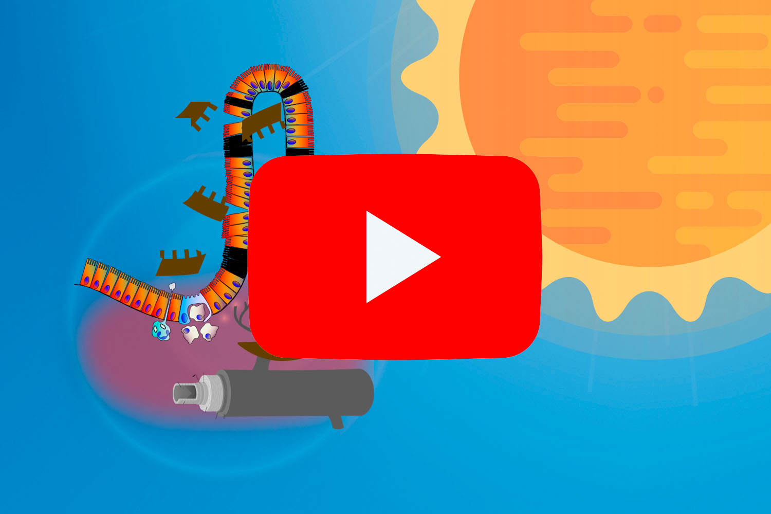 普维动物保健品有限公司, 动物饲料添加剂, 植物提取物, 植物生物素, 精油, PFA, 植物性饲料添加剂, 植物学, 植物性饲料添加剂, 新型促生长剂, 植物素, 替代抗生素促生长剂, 天然产品, 肠道健康, PlusVet Animal Health,