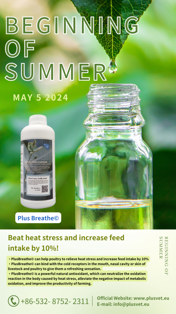 Beat heat stress and increase feed intake by 10%