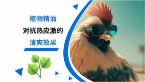 植物精油对抗热应激的清爽效果