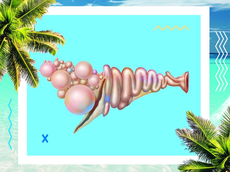 为什么天热了母鸡下蛋少了？